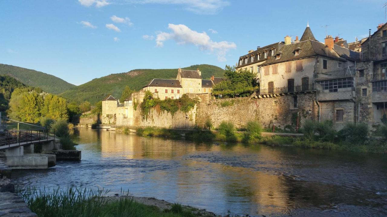 Chateau Ricard Saint-Geniez-dʼOlt Dış mekan fotoğraf