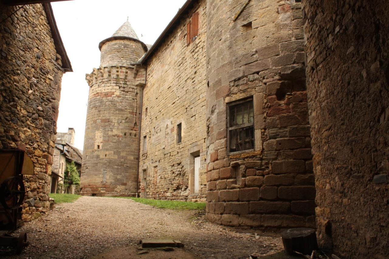 Chateau Ricard Saint-Geniez-dʼOlt Dış mekan fotoğraf