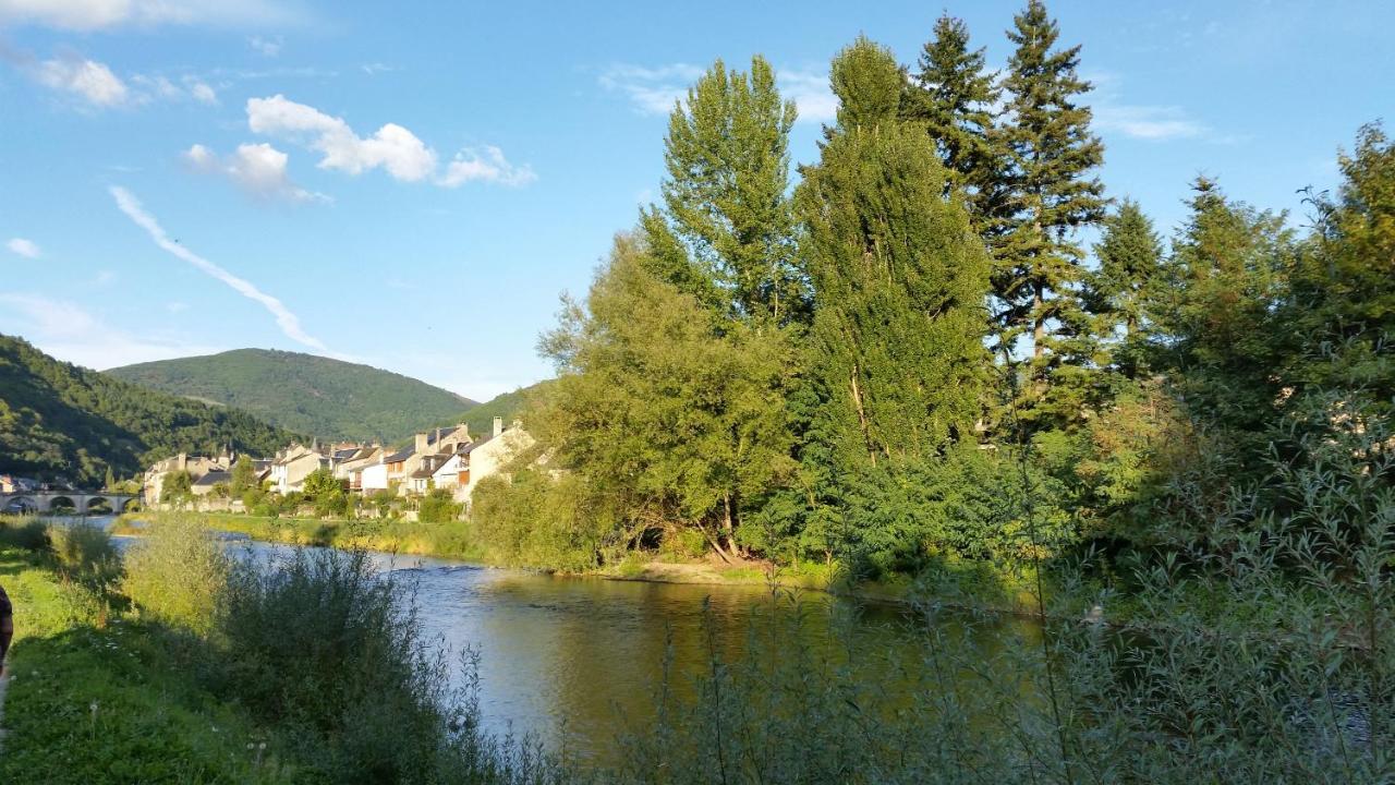 Chateau Ricard Saint-Geniez-dʼOlt Dış mekan fotoğraf